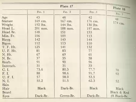 Plate 17